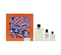 Hermes Terre d s