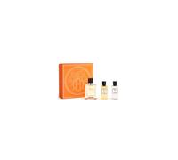 Hermès Terre D'hermes e T 50 Spray Gel40 Ash40