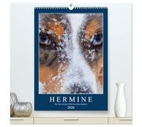 Hermine - Ein Jahr mit einem Mini Australian Shepherd (hochwertiger Premium Wandkalender 2026 DIN A2 hoch), Kunstdruck in Hochglanz: Erlebe mit mir, Hermine dem Mini Aussie, zusammen ein Jahr.
