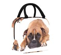 Hermosa bolsa de almuerzo tipo bóxer para mujer, bolsa térmica de apertura ancha, impermeable, a prueba de fugas, organizador de almuerzo térmico