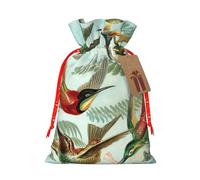 Hermosa bolsa de Navidad con cordón de impresión de colibríes con etiqueta kraft de 4.7 x 6.9 pulgadas para regalos de Halloween