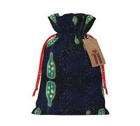 Hermosa botella de bajo el cielo nocturno con cordón, bolsa de regalo de Navidad con etiquetas, reutilizable, para fiestas de cumpleaños, bodas, vacaciones