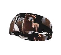 Hermosa diadema de alpaca para yoga, deportes, fitness, unisex, para correr, baloncesto, banda deportiva que absorbe el sudor,