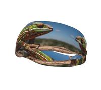 Hermosa diadema deportiva unisex de camaleón, para correr, baloncesto, yoga, deportes, fitness, sudor