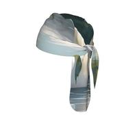 Hermosa gorra de ciclismo de ajuste ancho con estampado de cisnes blancos en el lago, diadema universal elástica para yoga, correr
