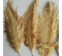 Hermosa pluma de avestruz dorada, 10 piezas de longitud de pluma de 6-8 pulgadas/15-20 cm, disfraces de boda DIY y decoraciones para sombreros, por defecto