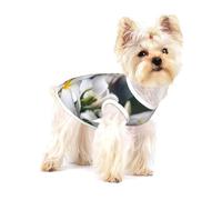 Hermosas Flores de Plumeria Frangipani Blancas,Camiseta de algodón sin Mangas para Mascotas, Chaleco Transpirable, Suave y elástico para Cachorros,S