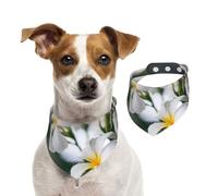 Hermosas Flores de Plumeria Frangipani Blancas,Pañuelos de algodón para Perros, Bufandas Ajustables para Mascotas,S