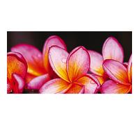 HERMOSAS FLORES G1134 PINTDECOR panel