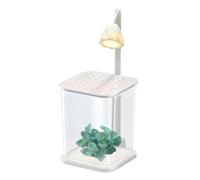 Hermoso Acuario de Vidrio - Acuario Betta Transparente, pecera de Mesa para Peces Luchadores | Acuario Betta Transparente, pecera pequeña de Lucha contra Peces, pecera de Mesa para Peces Luchadores -