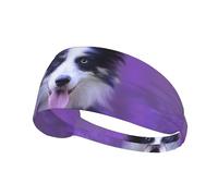 Hermoso Cachorro de Border Collie,Banda Deportiva para el Sudor Unisex, Multiusos, elástica para el Pelo