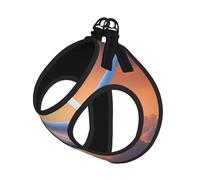 Hermoso chaleco con correa para mascotas con estampado de avión, reflectante, ajustable, de malla suave, transpirable para paseos diarios