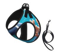 Hermoso chaleco de correa para mascotas con estampado de delfines del mundo submarino, para perros pequeños, ajustable y cómodo, esencial para gatos y cachorros