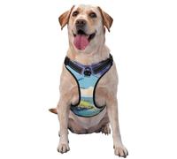 Hermoso chaleco de tracción para mascotas con estampado de molino de viento de río, talla XL, para que las mascotas lo usen al pasear al perro o escalar montañas