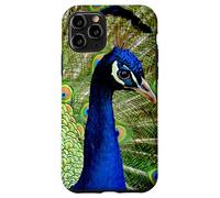 Hermoso diseño de Pavo Real Azul Verde Lindo Animal Carcasa para iPhone 11 Pro