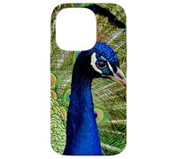 Hermoso diseño de Pavo Real Azul Verde Lindo Animal Carcasa para iPhone 14 Pro