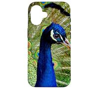 Hermoso diseño de Pavo Real Azul Verde Lindo Animal Carcasa para iPhone 16