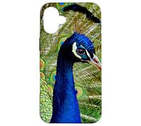 Hermoso diseño de Pavo Real Azul Verde Lindo Animal Carcasa para iPhone 16 Plus