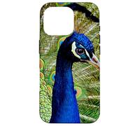 Hermoso diseño de Pavo Real Azul Verde Lindo Animal Carcasa para iPhone 16 Pro