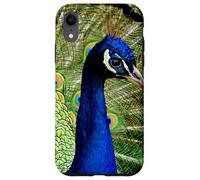 Hermoso diseño de Pavo Real Azul Verde Lindo Animal Carcasa para iPhone XR