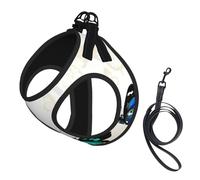 Hermoso juego de arnés y correa para perro con estampado de mariposa, chaleco reflectante ajustable para cachorros pequeños, medianos y grandes y gatos