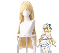 Héroe cauteloso El héroe está abrumado pero demasiado cauteloso Ristarte Mujeres Largo Cosplay Peluca de pelo sintético resistente al calor Costo 461P