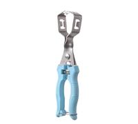 Herramienta de galleta de castaña, agarre cómodo, 20x4 cm, removedor de concha de nuez inoxidable, removedor de caparazón de castaño de acero inoxidable, conveniente, para hoteles de cocinas restauran