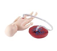 Herramienta de modelo de enseñanza, maniquí de bebé con cordón umbilical y placenta, herramienta de enseñanza anatómica for la formación en obstetricia y ginecología.