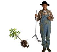 Herramienta extractora de árboles - Extractor multiusos para raíces y tallos, ideal para retoños y eliminación de cepillo, 103 cm de longitud para un fácil manejo