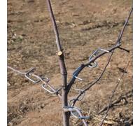 Herramienta funcional del ajuste del huerto 30pcs para equilibrar la estructura del árbol y maximizar la eficiencia de la fotosíntesis