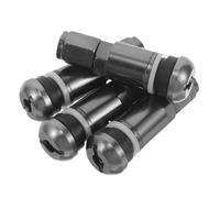 Herramienta para vástago de válvula de 4 pulgadas para neumáticos, válvulas de fondo plano, aire gris