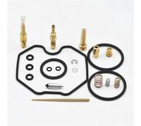 Herramienta Reparación Kit De Reparación Y Mantenimiento De Carburador para Motocicleta, Junta para H&Onda Recon Sportrax 250 (1997-2005, TRX250TE, TRX250EX) Carb Reemplazo
