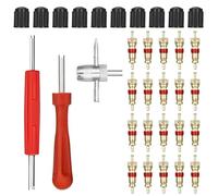Herramientas Coche 33 Piezas Kit Reparación Neumáticos Auto, Extractor de válvulas 4 en 1, Bi Monocéfalo Extractor Válvulas, 20 Insertos de válvula 10 Gorras para Mantenimiento Camión Bici Moto