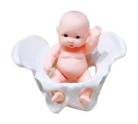 Herramientas de Enseñanza Mini Pelvis Femenina Y Modelo de Bebé - Simulador de Parto - Modelo de Pelvis - para Estudio Exhibición Y Modelo Médico