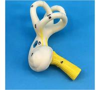Herramientas de Enseñanza Modelo Mini Laberinto Coclear - Laberinto Anatómico Modelo de Oído Interno - Modelo de Oído Interno - Modelo de Oído Interno Perdido Modelo Anatómico de Ciencias Médicas