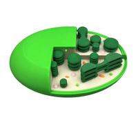 Herramientas de Modelos Didácticos Modelo de Estructura de Cloroplasto - Modelo de Cloroplasto Vegetal Ampliado - para Estudio de Biología Ciencia Y Educación Equipo Herramienta