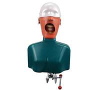 Herramientas didácticas, maniquí dental con torso, modelo de cabeza de fantasma dental for montaje en banco for formación en odontología.