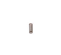 Bosch 2444618005 Spring