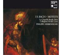 Herreweghe - Motetten