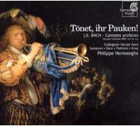 Herreweghe Philippe - T Net, Ihr Pauken! - Cantate Profan