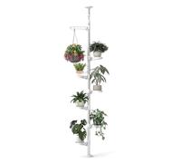 Hershii - Soporte de 7 niveles para plantas de interior, decorativo de metal para macetas, estante de exhibición de suelo a techo ajustable, esquinero para el suelo, ahorro de espacio, color marfil