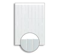 HERSIG - Malla Ocultacion Jardin | Cañizo PVC Blanco de 1 Cara para Exterior - 100 x 300 cm