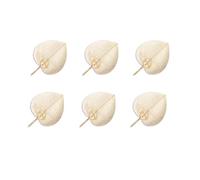 HERSIG - Pack 6 Pay Pay de Palma Color Natural | Pack 6 Abanico PAI PAI de Palma 40x30cm