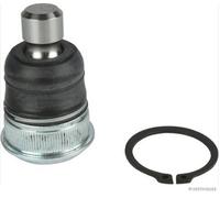 Herth+Buss J4861046 Conjunta la Gestión de Contratos