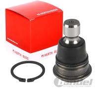 Herth+Buss Junta Rótula Izquierda Derecha Inferior Apto para Nissan Qashqai