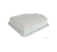 Filtros y aceite > Filtro > Filtro de aire (de coche)