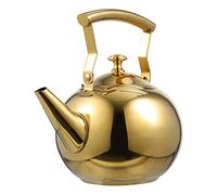 Hervidor de agua para hervir chocolate, hervidor de té de acero inoxidable, filtro de café Teteras para Hervir agua, cuello de cisne, jarra de cerveza eléctrica, estufa de agua, calentador de taza de