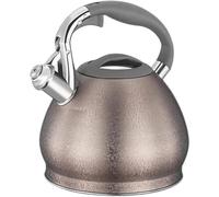 Hervidor de camping con silbato, Tetera que silba del acero inoxidable 3L 304 for las estufas gas y de la inducción