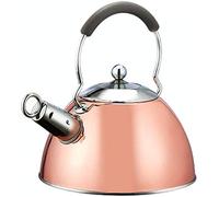 Hervidor esmaltado, Tetera de acero inoxidable for TODO tipo cocinas, tetera 2,5 litros con base pintada en cobre y cepillo metálico