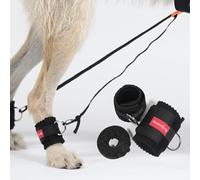 HERZENSTIER Vendaje Entrenamiento Gr. M45 Perro Pata Trasera 2 uds. In anda Elástica - Reeducación Marcha & Musculación Knuckling, Mielopatía Degenerativa, Ataxia | Neopreno Tren Posterior